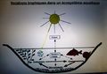 Vignette pour la version du 2 mars 2014 à 18:28