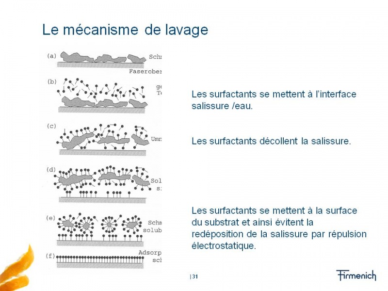 Fichier:Mecanisme de lavage.jpg