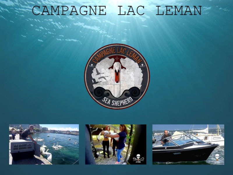 Fichier:Dia 30 Campagne Léman.jpg
